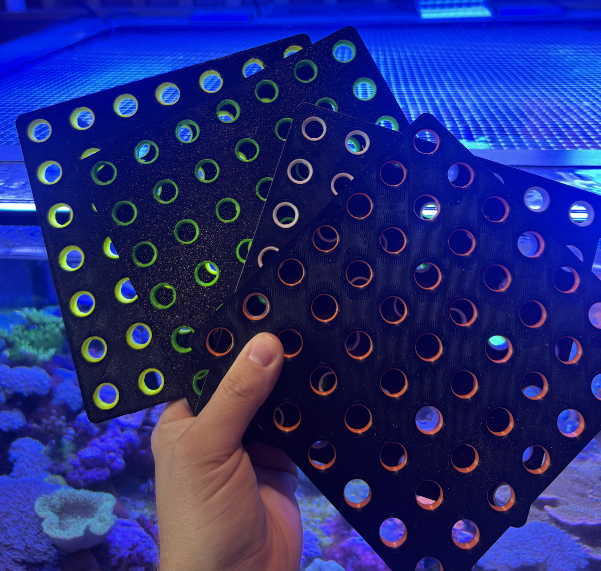 Main image for 7”x7” Coral Frag Rack