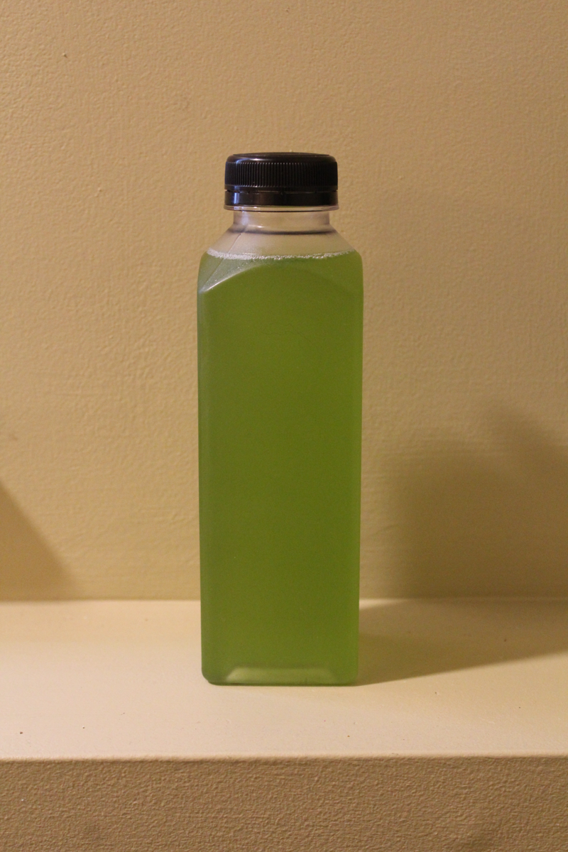 16 oz Tetraselmis chui